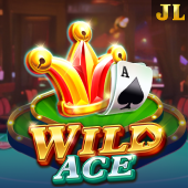 Wild Ace on XGamesApp